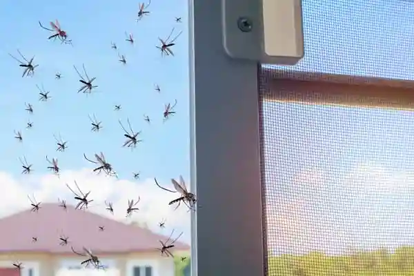 Insektenschutz bei Fenster und Türen anbringen