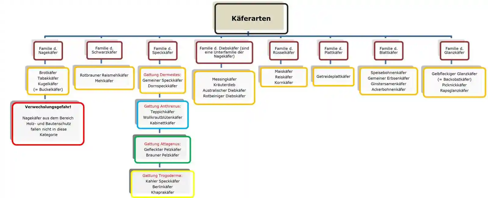 Käferarten