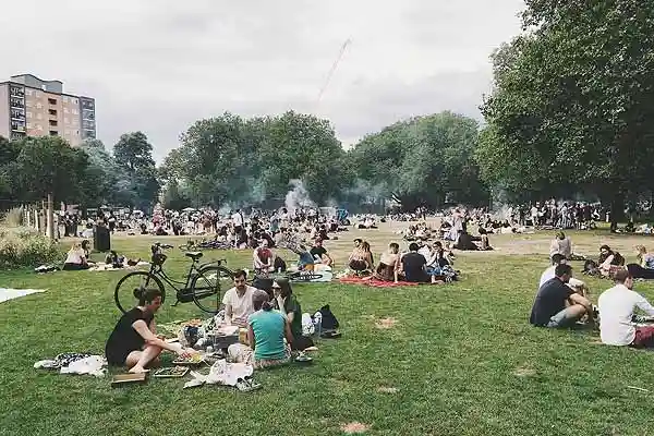 Picknik auf der Wiese