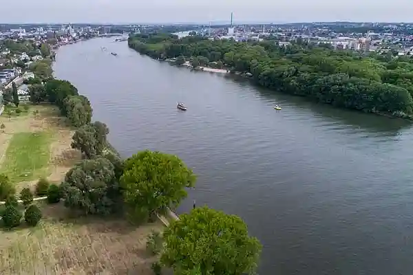 Mücken bempfen am Rhein Ufer